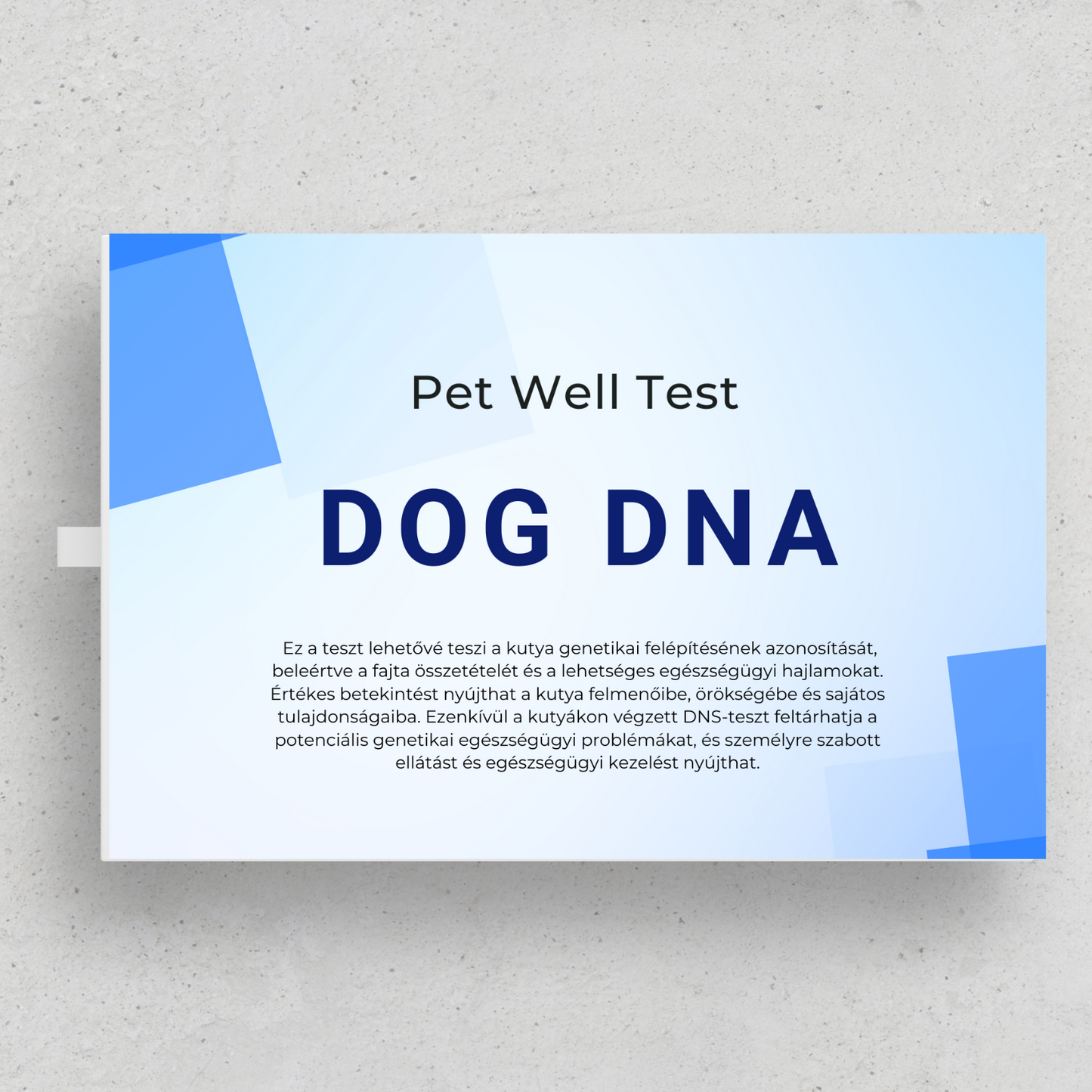 Kutya DNS teszt